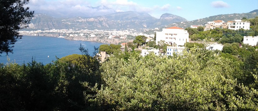 01_2013_Italia_Sorrento (1)