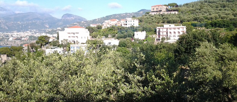 02_2013_Italia_Sorrento (2)