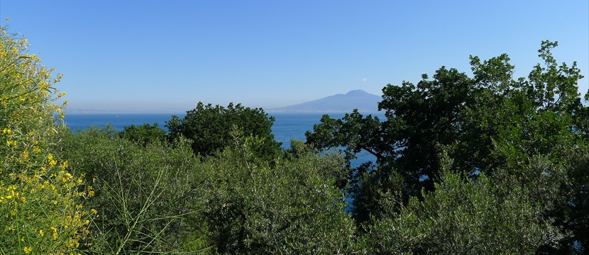 05_2013_Italia_Sorrento (5)