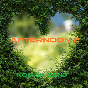 afternoon 2